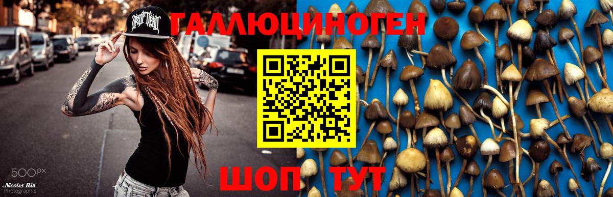 Краснотурьинск  наркошоп  Вход с VPN  Псилоцибиновые грибы MAGIC MUSHROOMS 